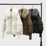 Indie - Jaqueta elegante